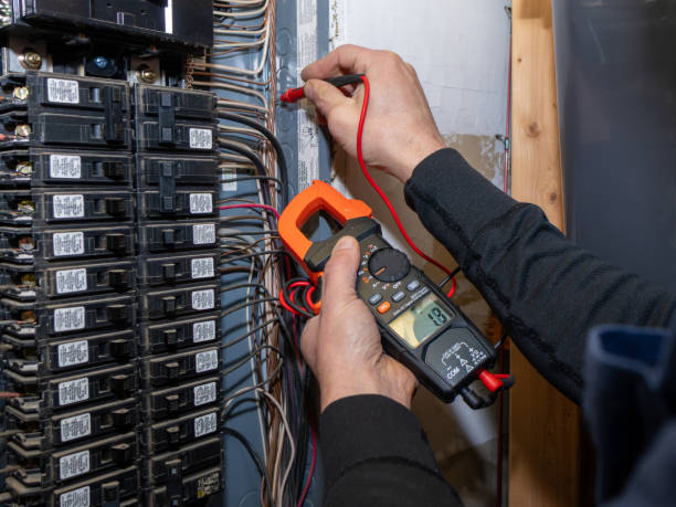 Best Ceiling Fan Installation Electrician  in Laguna Vista, TX