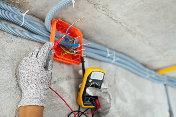 Best Local Electrician Companies  in Laguna Vista, TX
